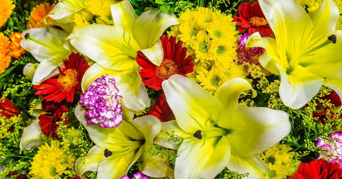 Administrasjonen i NHO Innlandet gratulerer det nye styret og ser frem til et godt samarbeid, og takker samtidig for innsatsen til utgående styremedlemmer.