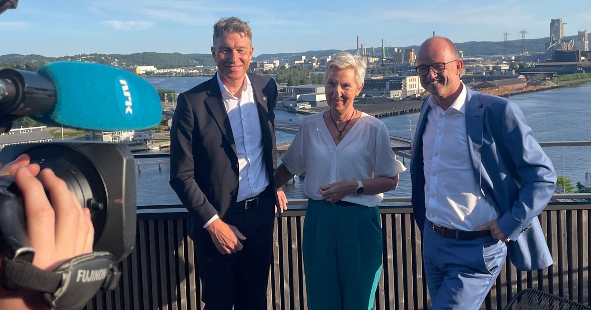 Ole Erik Almlid, Peggy Hessen Følsvik og Terje Aasland
